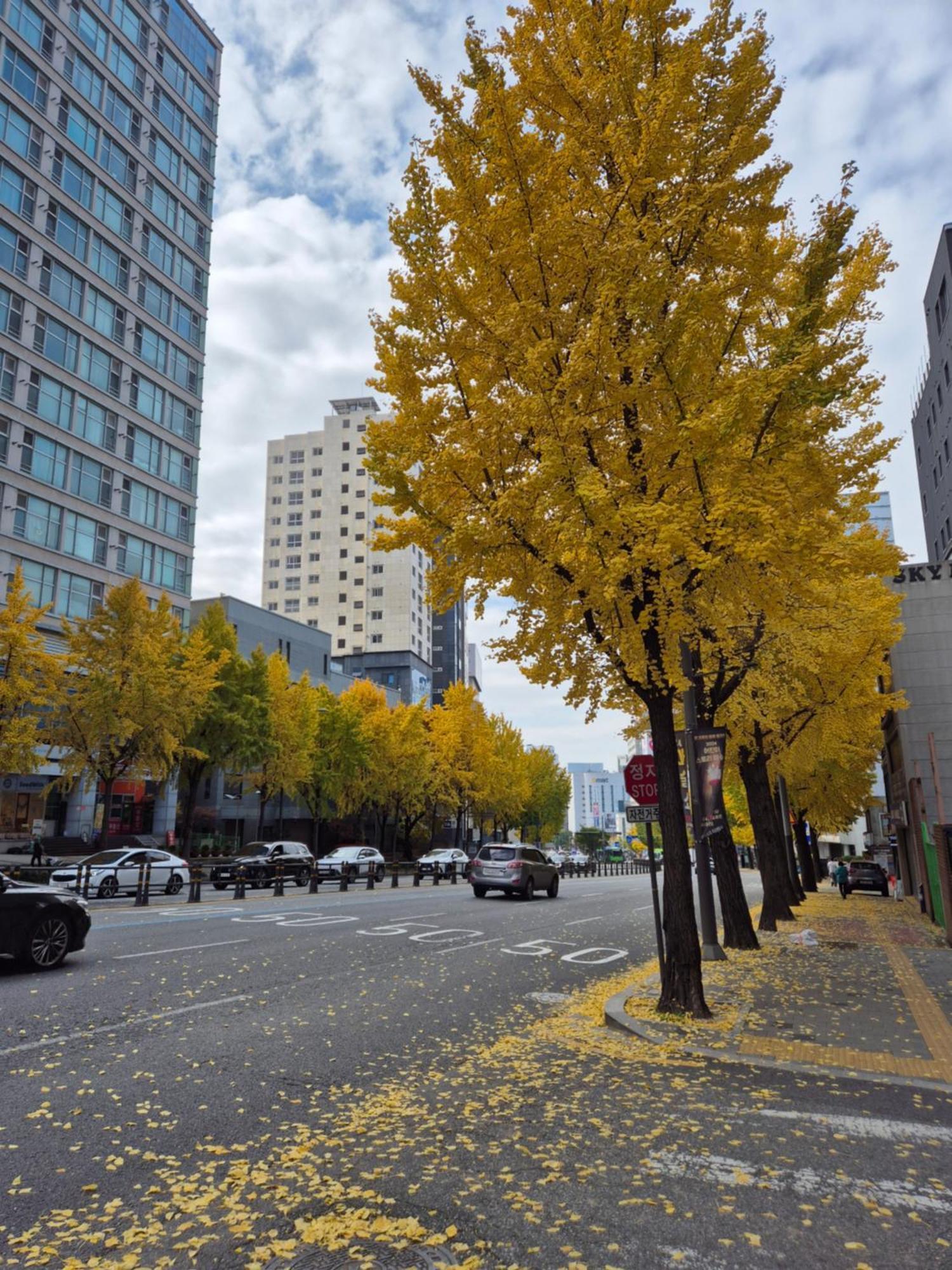 Let'S Stay Seul Exterior foto